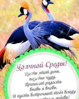 Карина