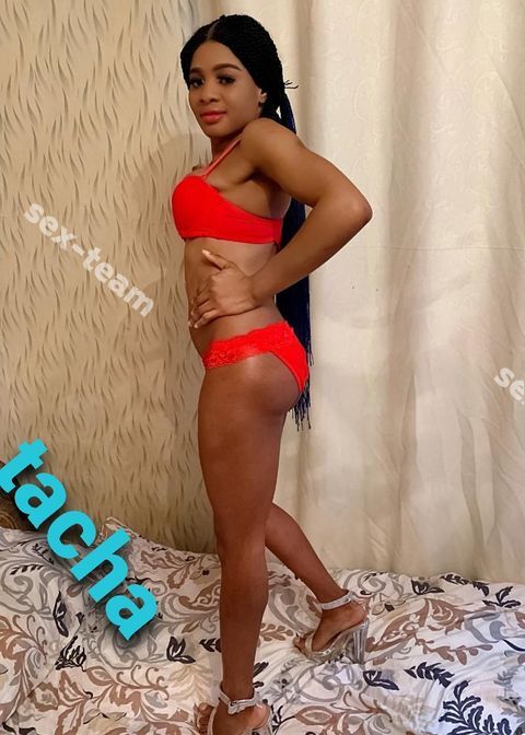 Tacha