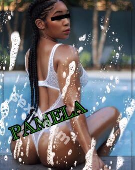 PAMELA